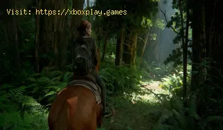 The Last of Us Part 2: So erhalten Sie den Code aus der Apotheke siche