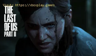 The Last of Us Part 2: Wo befindet sich der gravierte Ring?