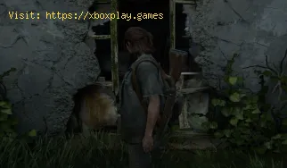 The Last of Us Part 2: Wo finde ich das seltsame Relikt?