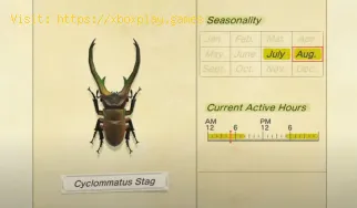 Animal Crossing New Horizons: Cómo atrapar el ciervo de Miyama