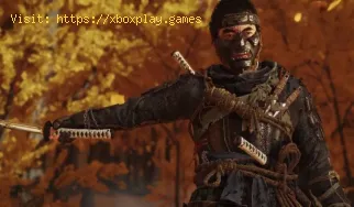 Ghost of Tsushima: wie man Unterwäsche bekommt