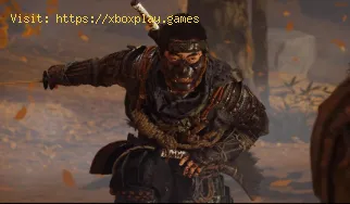 Ghost of Tsushima: Wie man schnell reist