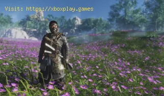Ghost of Tsushima: Wie man Holzwachs bekommt