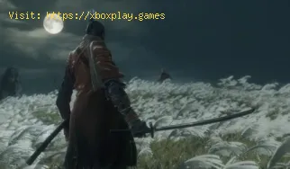 Sekiro: Shadows Die Twice is now part of the FromSoftware formula.