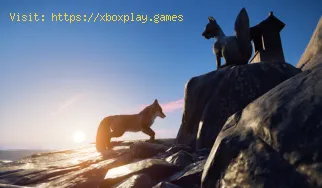 Ghost of Tsushima: Wo finde ich Fuchswächter?