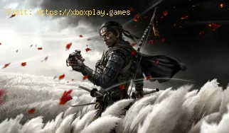 Ghost of Tsushima: cómo obtener más oro