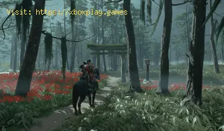 Ghost of Tsushima: Wie man Wachsholz bekommt