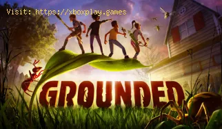 Grounded: como obter ferramentas avançadas
