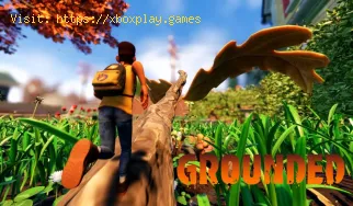 Grounded: onde encontrar o pico da larva