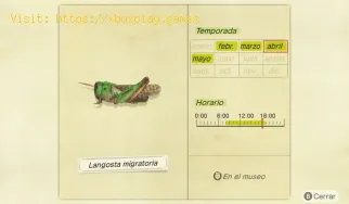 Animal Crossing New Horizons: Cómo atrapar la langosta migratoria