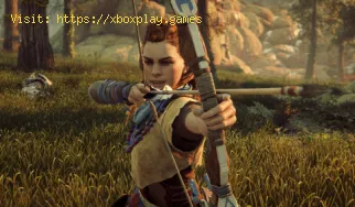 Horizon Zero Dawn: So beheben Sie Verzögerungen auf dem PC