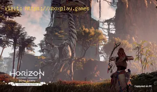 Horizon Zero Dawn: Como corrigir erro de salvamento do jogo