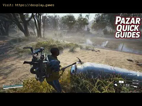 Video preview