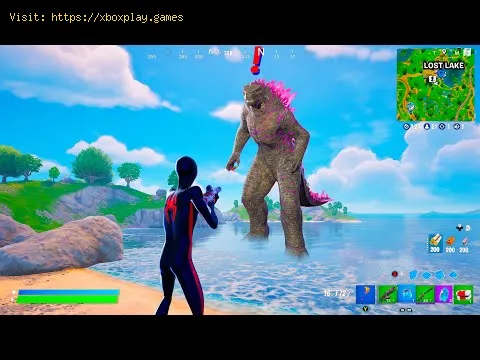Video preview
