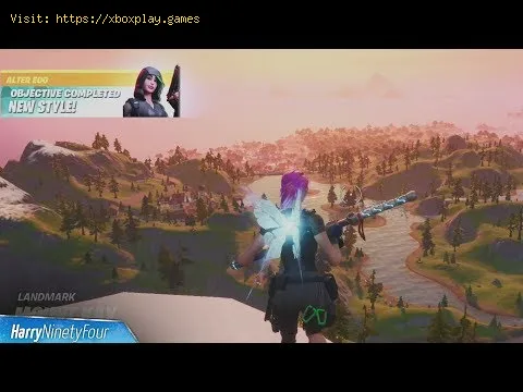 Video preview