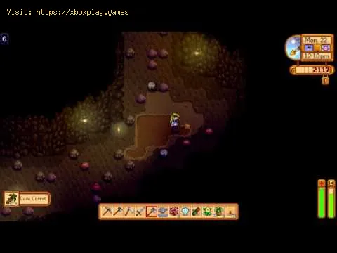 Video preview