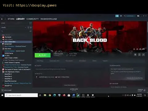 Video preview