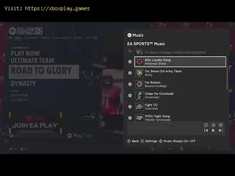 Video preview