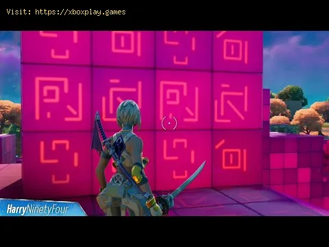 Video preview