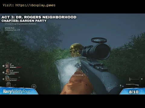 Video preview