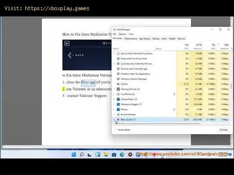 Video preview