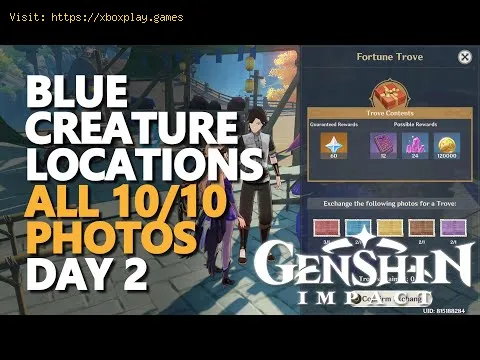 Video preview
