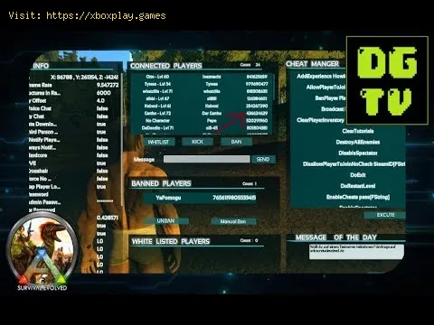 Video preview