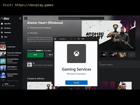 Video preview