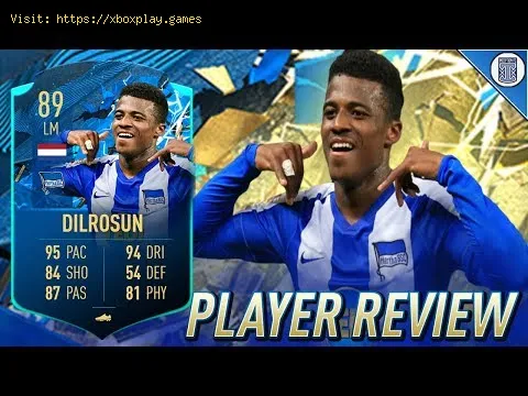 Video preview