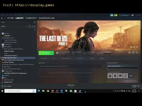 Video preview