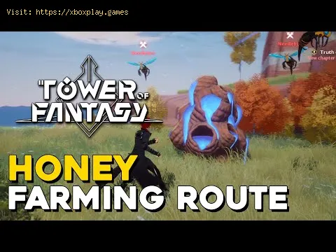 Video preview