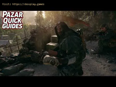 Video preview