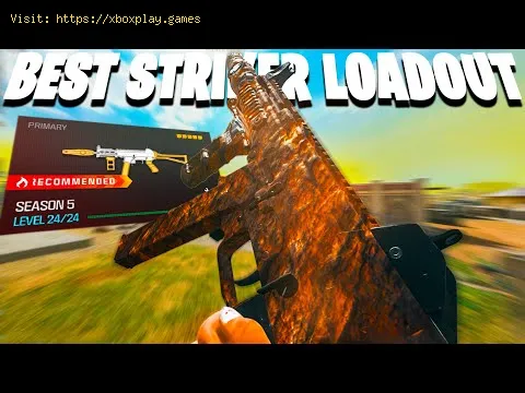 Video preview