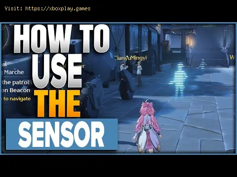 Video preview