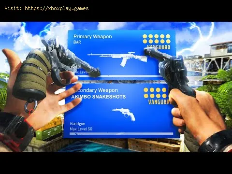 Video preview
