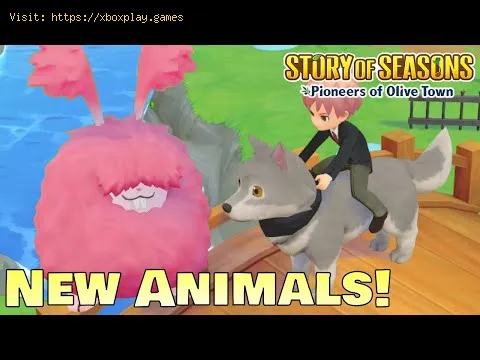 Video preview