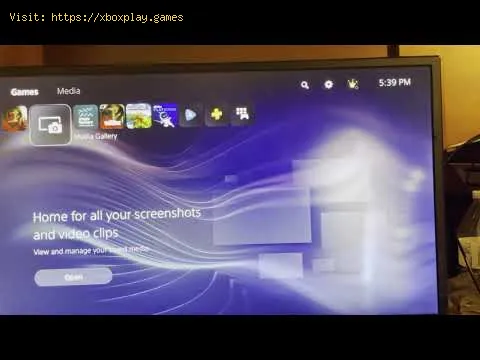 Video preview