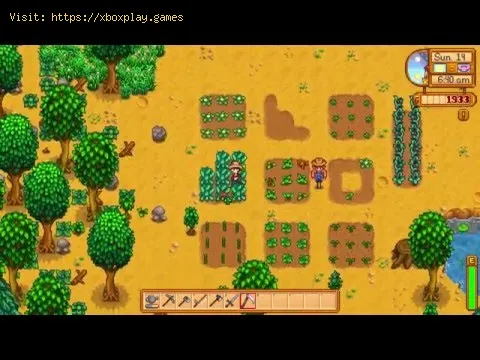Video preview