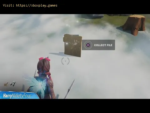 Video preview