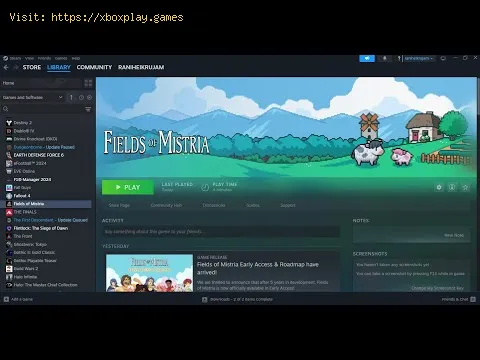 Video preview