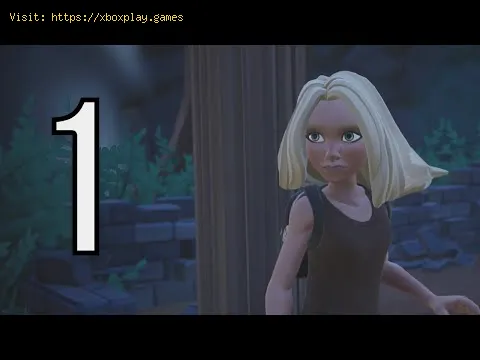 Video preview