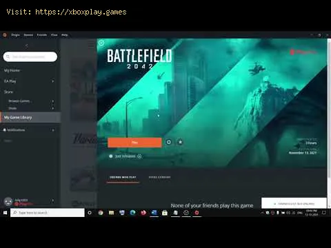 Video preview