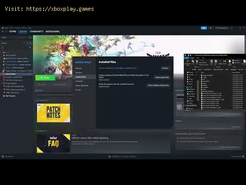 Video preview