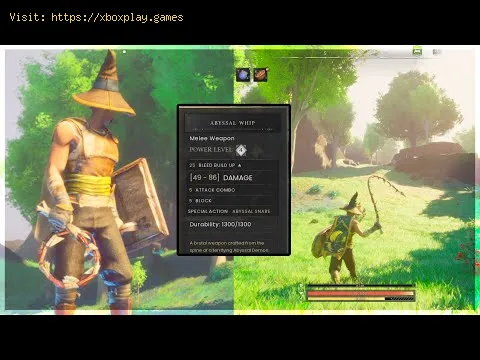 Video preview