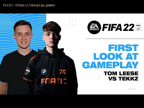 Video preview