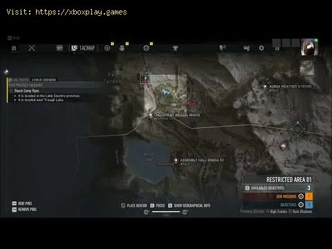 Video preview