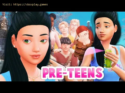 Video preview