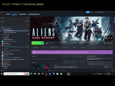 Video preview