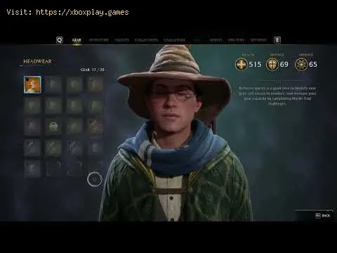 Video preview