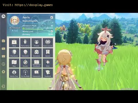 Video preview